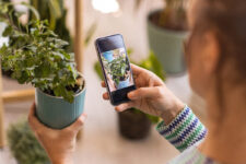 Start a gardening hobby with this top-rated app, on sale for President’s Day