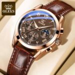 OLEVS Mens Watches Luxury Chronograph Waterproof Luminous Analog Quartz Classic