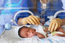 Dangerous Infections in ‘Preemie’ Babies May Begin in the Gut