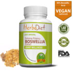 Boswellia Serrata Extract Capsules 90% STRONG (8000mg eq.) Joint Health Support