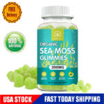 2000mg Organic Sea Moss Gummies – Apple Cider Vinegar,Bladderwrack, Burdock Root