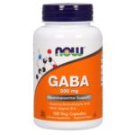 NOW Foods GABA, 500 mg, 100 Veg Capsules