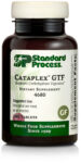 Standard Process Cataplex GTF Whole Food Digestion, 180 Tablets