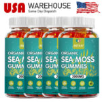 2000mg Organic Sea Moss Gummies – Apple Cider Vinegar,Bladderwrack, Burdock Root