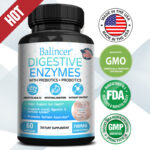 Digestive Enzymes Contain Prebiotics and Probiotics To Support Digestive Health