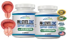 PROSTATA HEALTH SUPPORT CAPSULES 120 prostate urinary support men