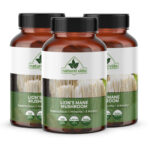 Lions Mane Mushroom | 360 Capsules I 4,200mg Vegetarian | Brain & Immune Support