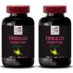 Tribulus Terrestris uses – TRIBULUS TERRESTRIS EXTRACT – Tribulus Terrestris 2B