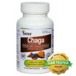 Chaga Mushroom Supplement Best Siberian Dried Wild Harvested 90 Capsules Tablets