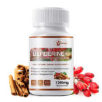 Premium Berberine HCL Extract 1200mg, Healthy Cholesterol, Anti-inflammatory