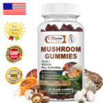 Mushroom Extract Complex Gummies Lions Mane Chaga Reishi Focus Memory Immunity