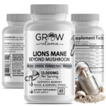 Organic Lion’s Mane Mushroom Supplement (13000 mg) – MEMORY, FOCUS, STRESS AID