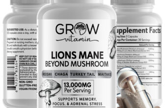 Organic Lion’s Mane Mushroom Supplement (13000 mg) – MEMORY, FOCUS, STRESS AID