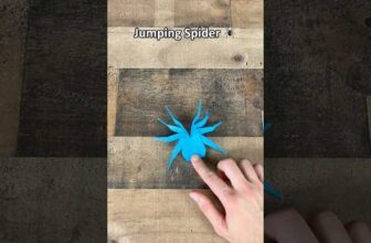 Easy origami jumping spider | how to make paper spider