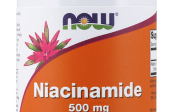 NOW Foods Niacinamide 500mg 100 Caps Vitamin B-3, No Flush 11/2027EXP