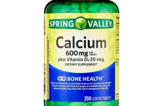 Spring Valley Calcium Plus Vitamin D, 600 mg, 250 Tablets