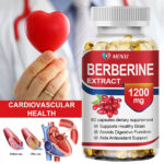 Berberine HCl 1200mg – High Potency Berberine 120 Capsules – Blood Sugar Support