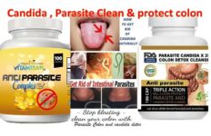 Candida Colon Detox Cleanse support Antifungal parasite candida cleans Dandelion