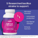 MegaSporeBiotic probiotics promote digestive health -60 capsules