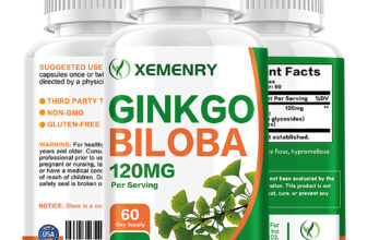 Ginkgo Biloba Capsules 120mg – Memory Mental Focus Brain Booster Supplement