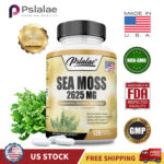 Sea Moss Capsules-Irish Moss,Bladderwrack,Burdock Root,Thyroid & Immune Support