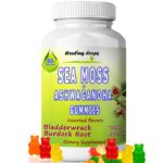 Sea Moss Ashwagandha Gummies with Bladderwrack Burdock Root Alkaline Keto Vegan