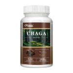 Chaga Extract 1000mg – Support Immune System Health, Digestive Boost, Non-GMO