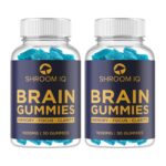 Brain Supplements for Memory and Focus – Nootropic Gummies for Mental Health …