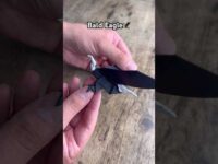 EASY ORIGAMI BALD EAGLE TUTORIAL | DIY AMERICAN EAGLE STEP BY STEP EASY TUTORIAL | DIY ORIGAMI BIRD