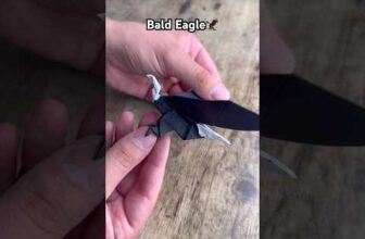 EASY ORIGAMI BALD EAGLE TUTORIAL | DIY AMERICAN EAGLE STEP BY STEP EASY TUTORIAL | DIY ORIGAMI BIRD
