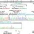 COVID-19 vaccination reduced disease disparities between low-income communities