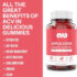 Resveratrol Capsules Anti-Aging Antioxidants Radiant Skin & Cholesterol Support